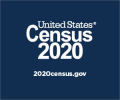 Logo of the Census 2020.