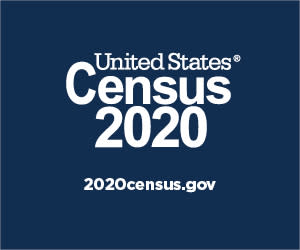 Logo of the Census 2020.