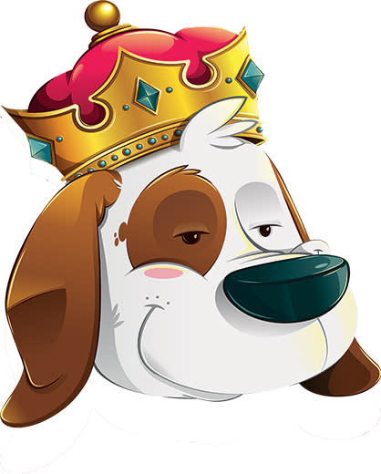 Pampered Puppies - Dog Supplies & Services