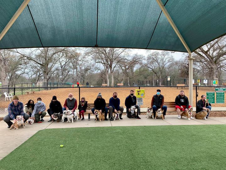 Sacramento/Placer Bulldog Meetup Group