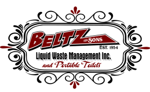 Beltz logo