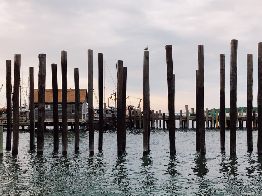 Family-run wineries, orchards, farms, and seafood shacks characterize Long Island’s North Fork.