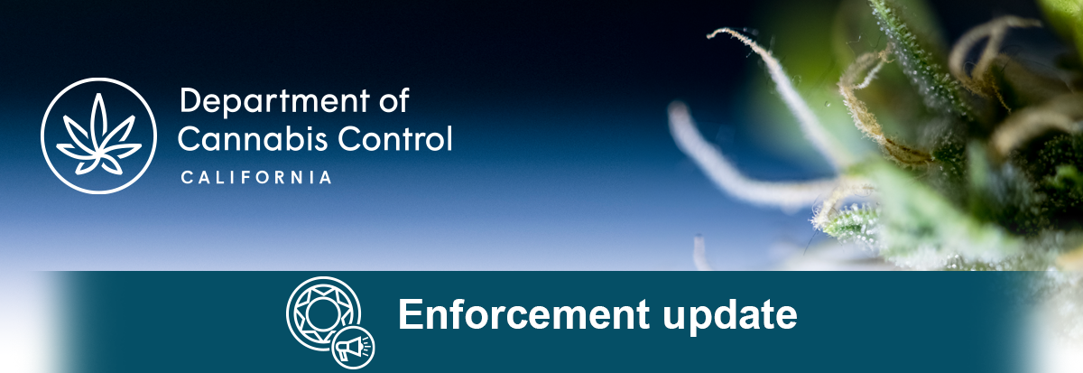 Department of Cannabis Control, Enforcement update