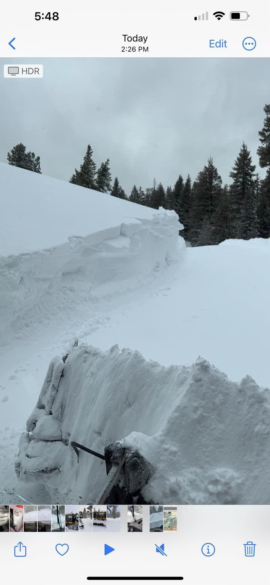 About 8 feet tall here