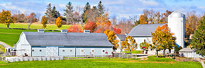 photo of a farm