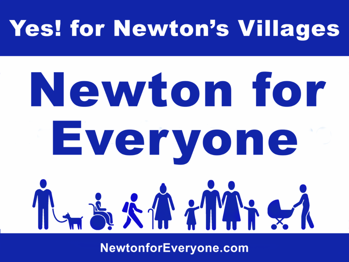 Newton For Everyone