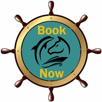 book now 200