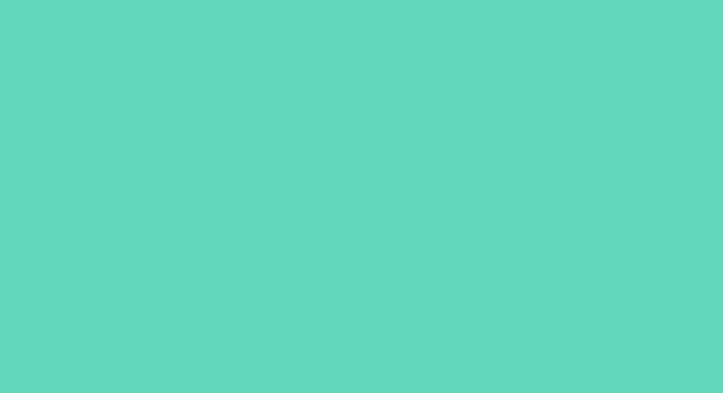 teal background.png