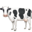 🐄