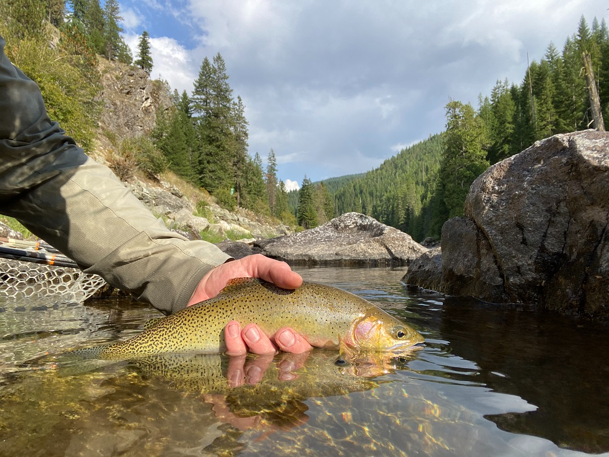 Native Trout on Public Lands and Waters - Backcountry Hunters and Anglers