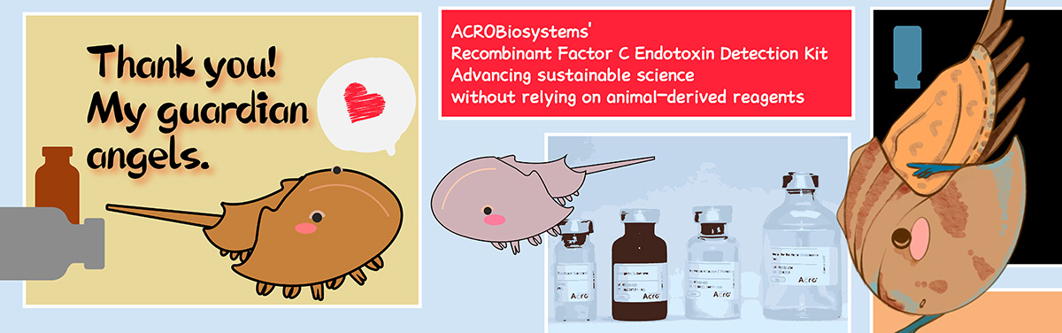 Advancing Endotoxin Detection: An Innovative High Sensitivity Recombinant Factor C Testing Solution