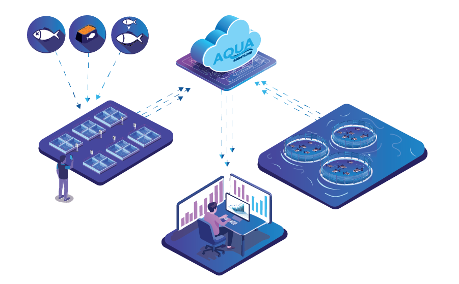 Real-Time Aquaculture Analysis : Before Things Go Wrong