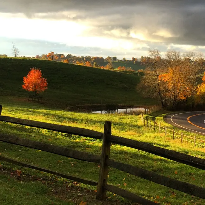 Fall is is full color along Rt. 515 north of Walnut Creek in Holmes County.