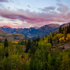 trees in forefront with changing colors and mountains in background with sunset