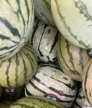 Drugs disguised as watermelons