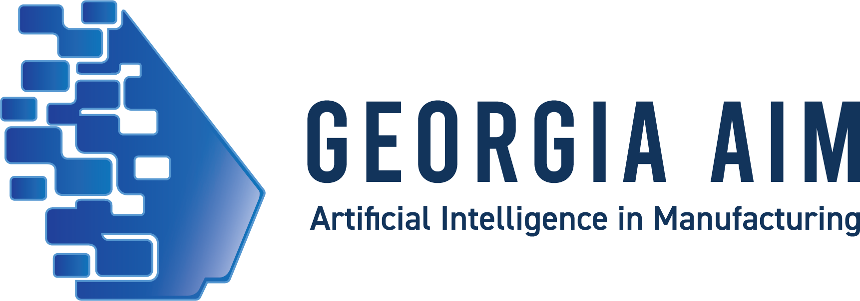 Georgia AIM