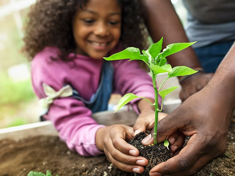 Girl planting seedling tree.