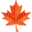 π
