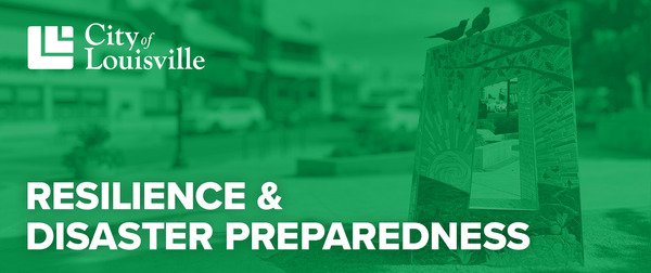 Resilience & Disaster Preparedness header image