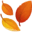 🍂