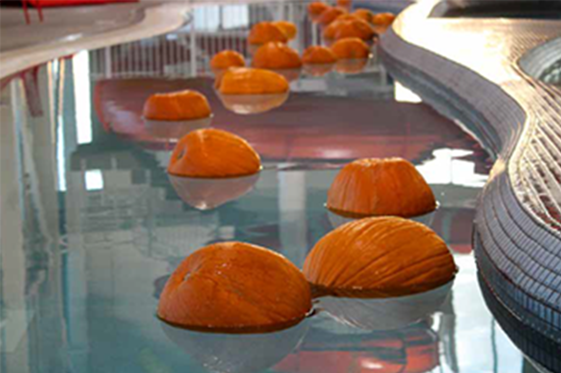 Photo of pumpkins floating in water