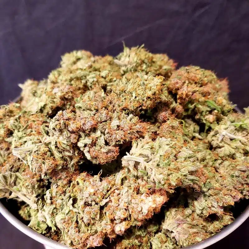 close up of dried buds 1
