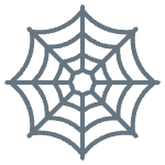 🕸️