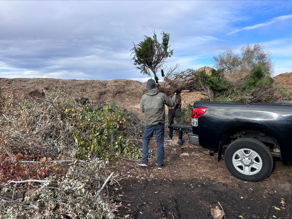 photo of two men unloading a tree branch out of a truck