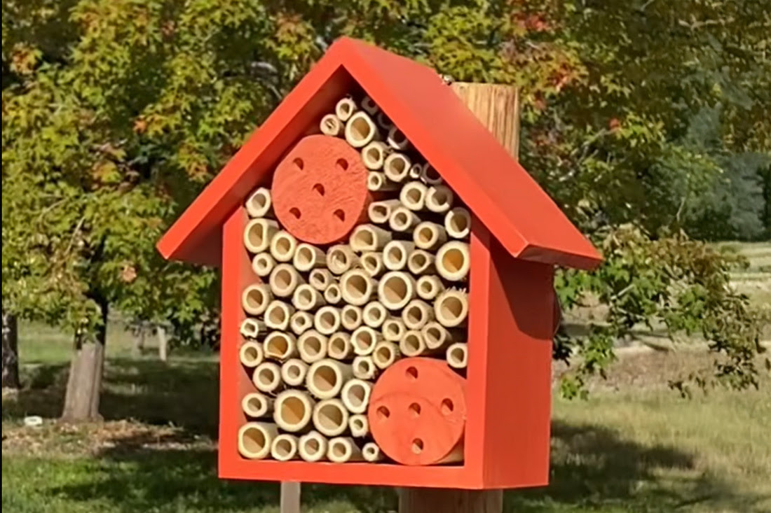 Bee Hotel