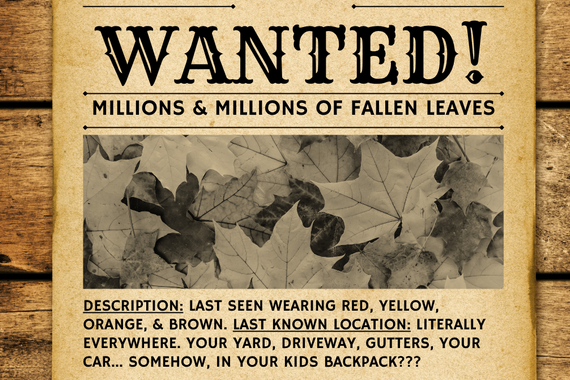 wanted poster for fallen leaves