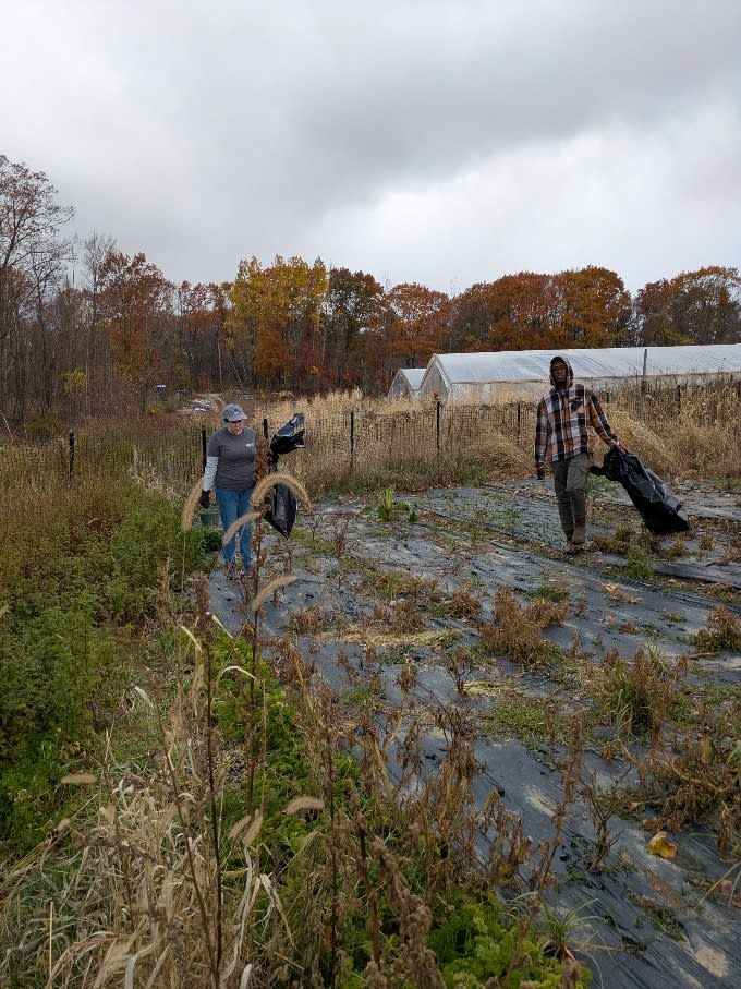 A couple of people walking in a field 
AI-generated content may be incorrect.
