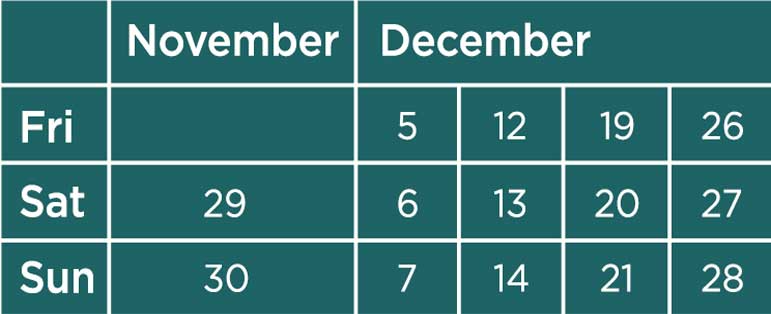 Holiday calendar showing November and December dates