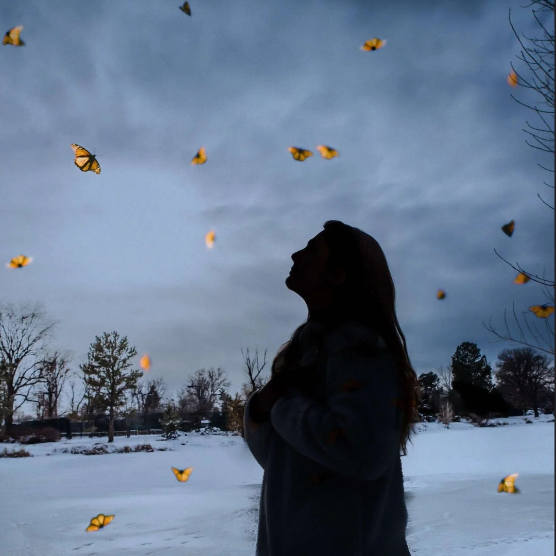 Silhouette of girl on winter landscape with butterflies