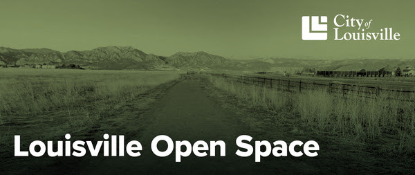 trail on open space with mountains in the background