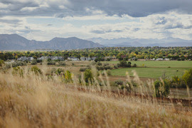 Louisville Landscape 