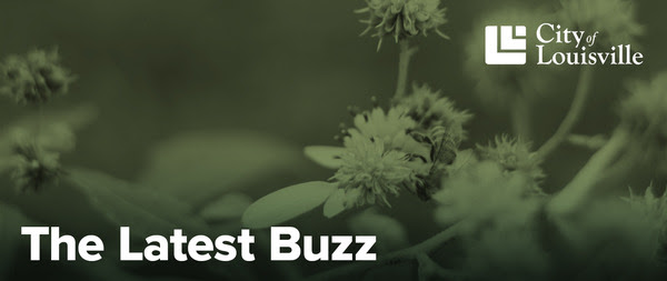 bee on flower the latest buzz