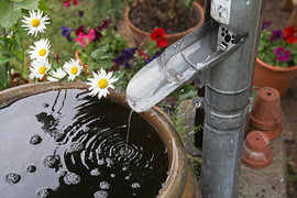 Rain barrel filled with water surrounded by flowers and garden implements