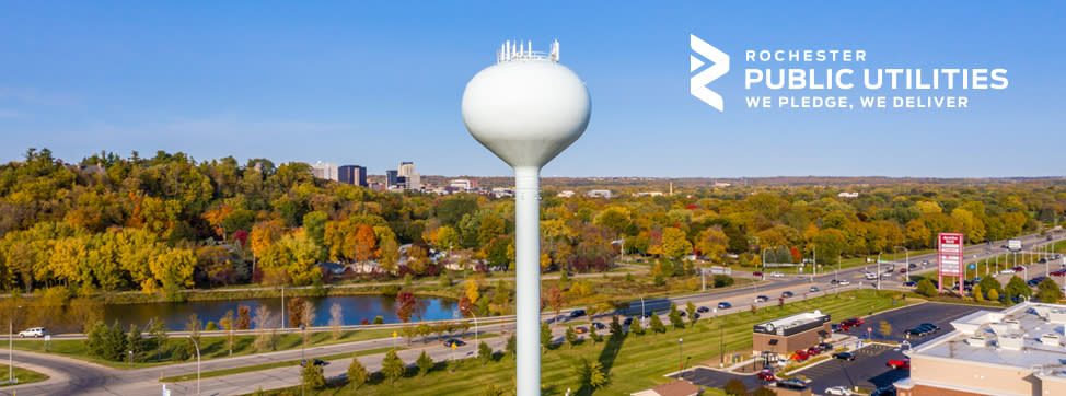 Limited Term Appointment