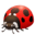 🐞