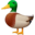 🦆