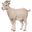 🐐
