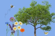 Graphic of flowers, tree, bird, and bee