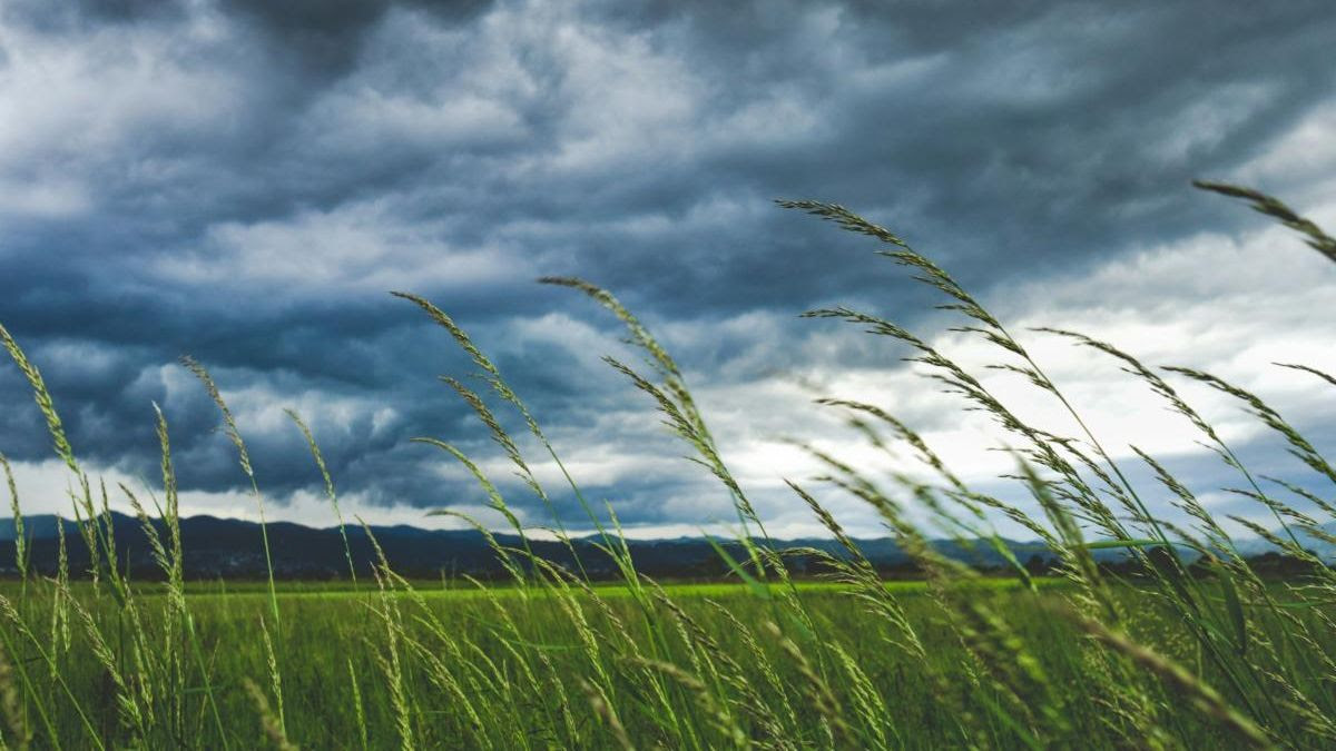 Man serving food to a woman from a food truck window