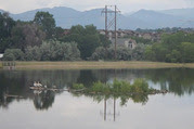 Migratory birds in Hecla Lake