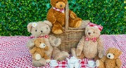 teddy bears on a picnic blanket