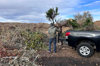 Two men unloading branches from a truck