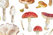 Various painted mushrooms against a white background