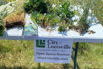 Noxious weed booth on Open Space