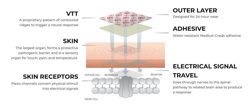 VTT Technology