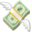 💸